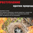 ВЫЖИГАНИЕ ТРАВЫ — ПРЕСТУПЛЕНИЕ - Газета Белоглинские вести